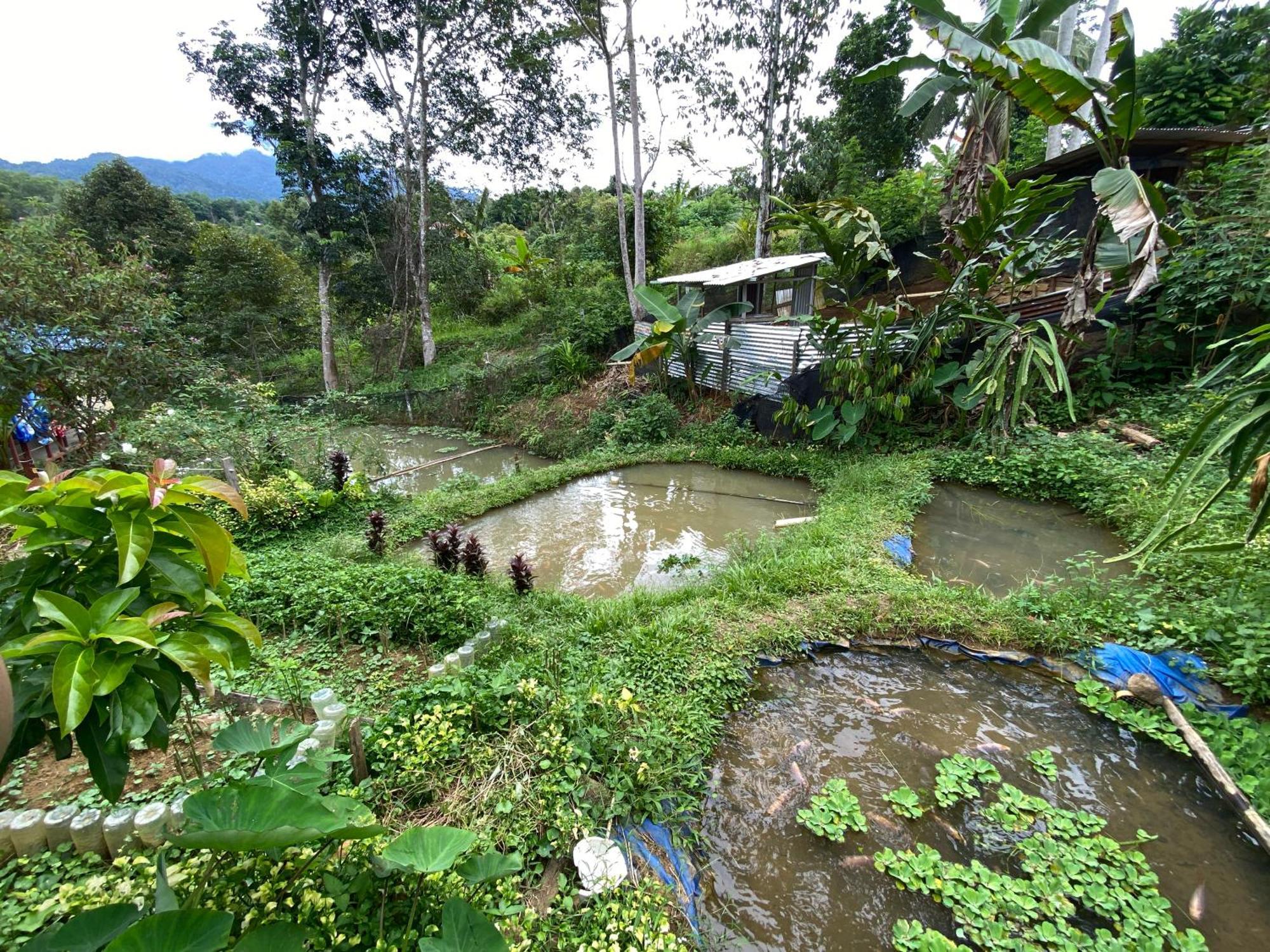 Hotel Da Family Mini Garden à Ranau Extérieur photo